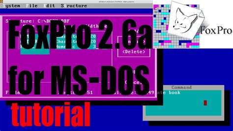DOS FoxPro Demo YouTube