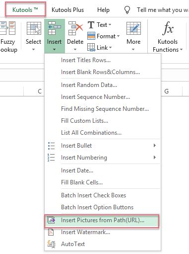 convert image url to actual image in excel