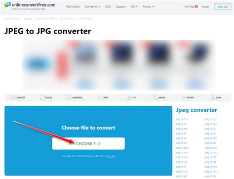 Convert Jpeg To Jpg C#
