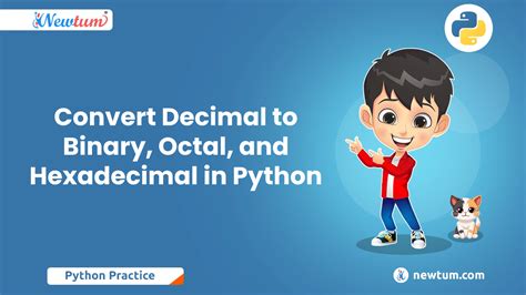 Converting Numbers To Binary Decimal Hexadecimal And Octal In Python