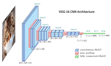 convolutional neural network cnn