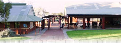 Coogee Primary School Hours