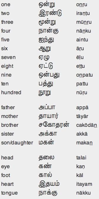cooing meaning in tamil