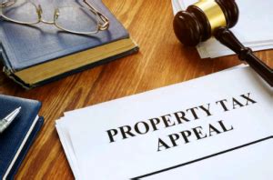cook county assessor property tax appeal