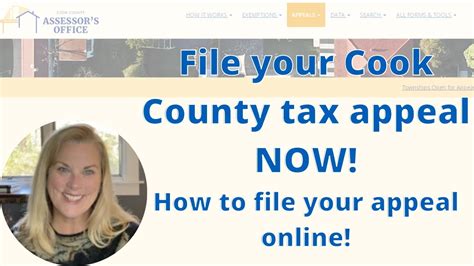 cook county treasurer tax appeal