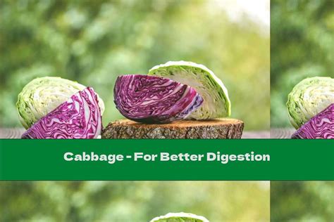 Cooked Cabbage Digestion