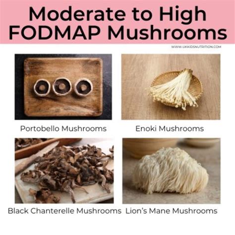 Cooked Mushrooms Fodmap