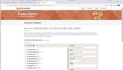 cookie editor google chrome