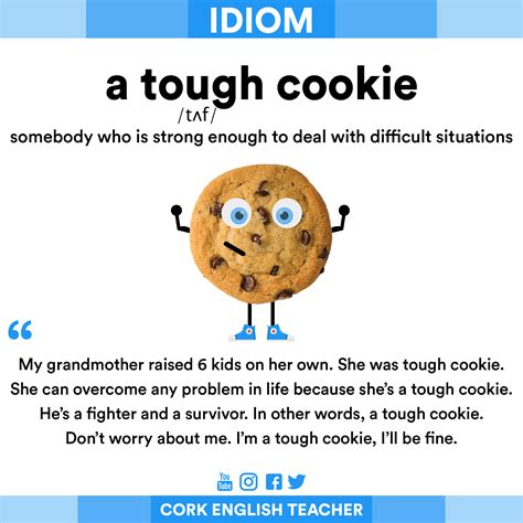 cookie meaning in slang