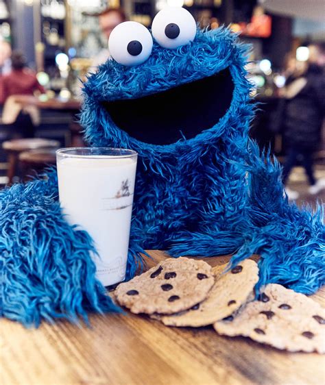 cookie monster and the monster cookie