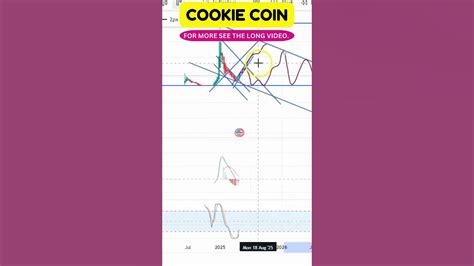 Cookie Technical Definition