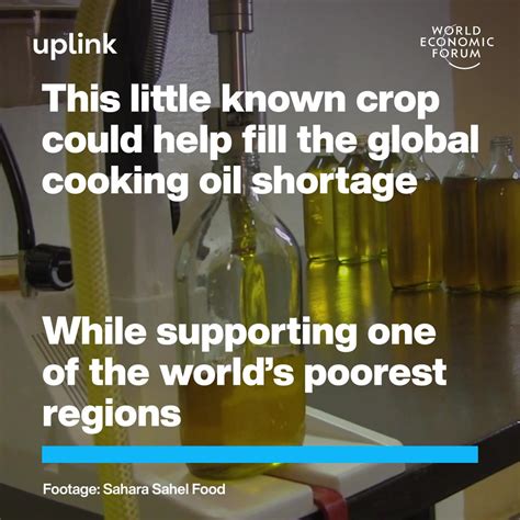 Cooking Oil Shortage In Europe: An Overview Of 2023