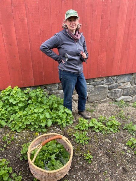 cooking class foraged