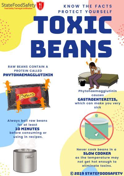 Cooking Kidney Beans Toxic