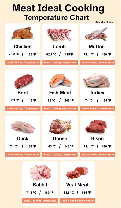Cooking Meat Temperature Chart