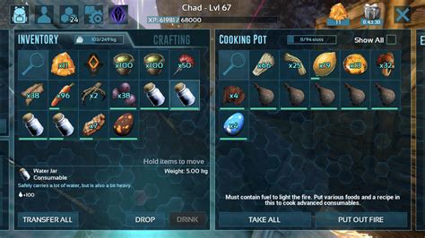 Cooking Pot Not Making Kibble