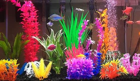 Cool Fish Tank Themes 5 That Will Inspire You