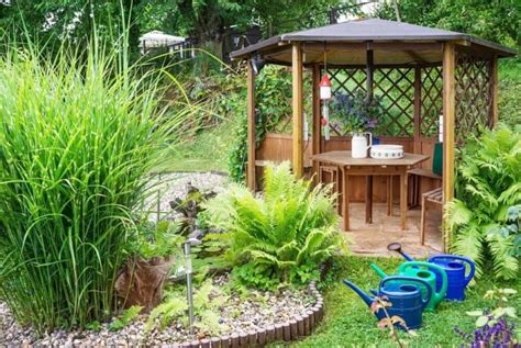 Cool Backyard Stuff