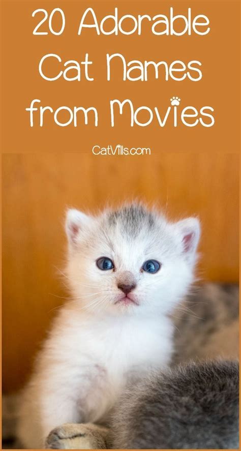 cool cat names from movies