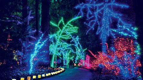 Cool Christmas Light Show Near Me