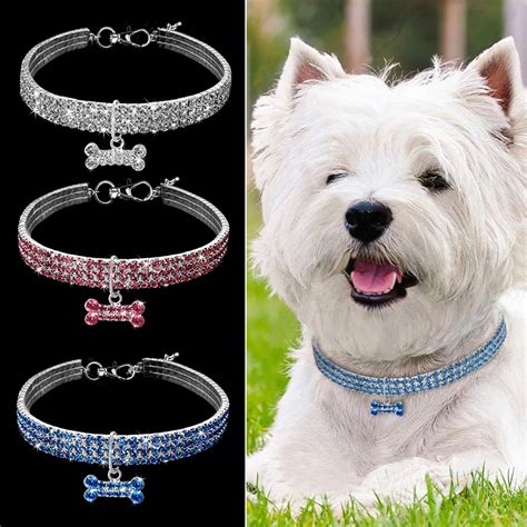 cool dog collars for small dogs