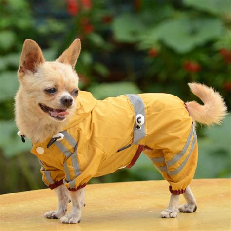 Cool Dog Jackets