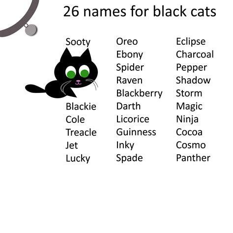 cool female black cat names