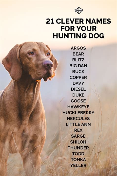cool hunting dog names male