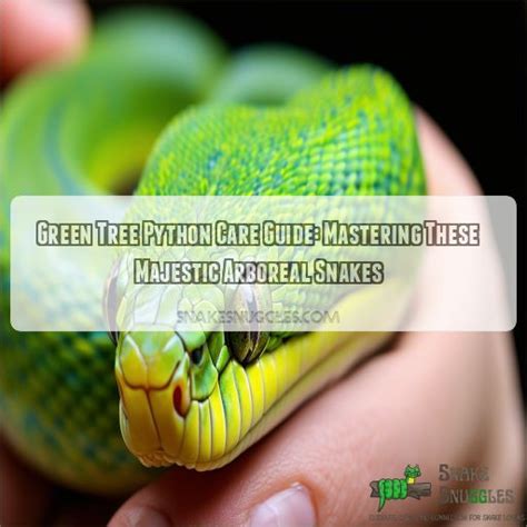 Cool Names For Green Tree Python
