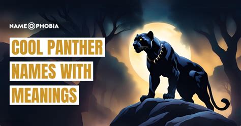 Cool Panther Names