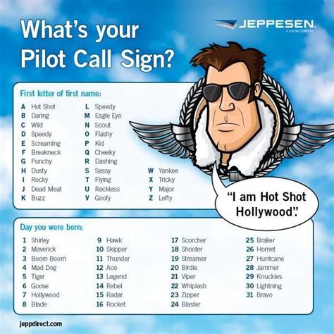 cool pilot call signs