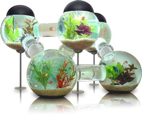 Cool Types Of Fish Tanks