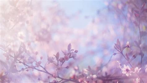 How to fix blurry wallpapers, Or get a non blurry wallpapers *2020