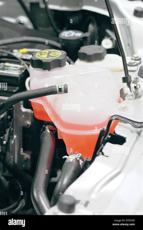 Coolant In Engine Bay