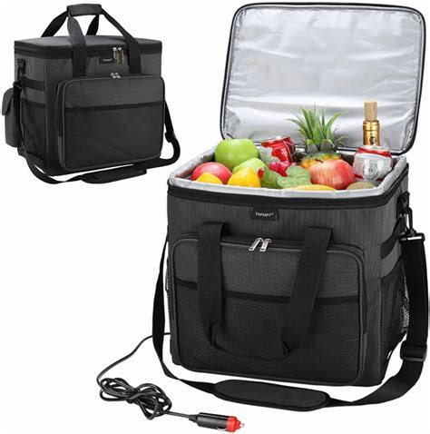 Cooler Car Bag