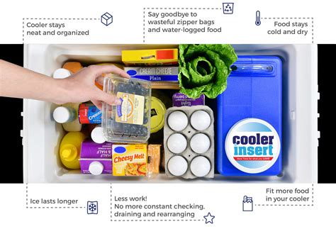 Cooler Insert For Coolers