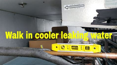 Cooler Leaking Water