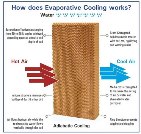 Cooling Mat How Do They Work