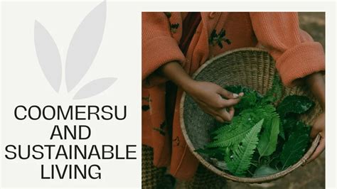 Coomersu Alternative