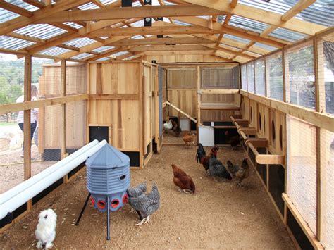 Coop For Chickens