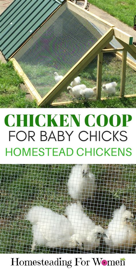 Coop For Chicks