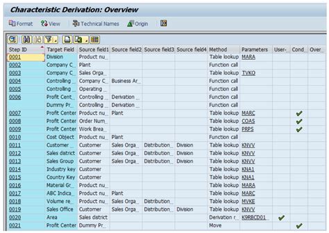 copa report in sap