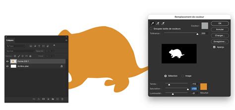 Copier Image Couleur