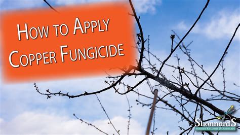 Copper Fungicide Instructions