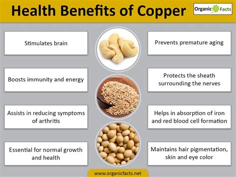 Copper Poor Foods