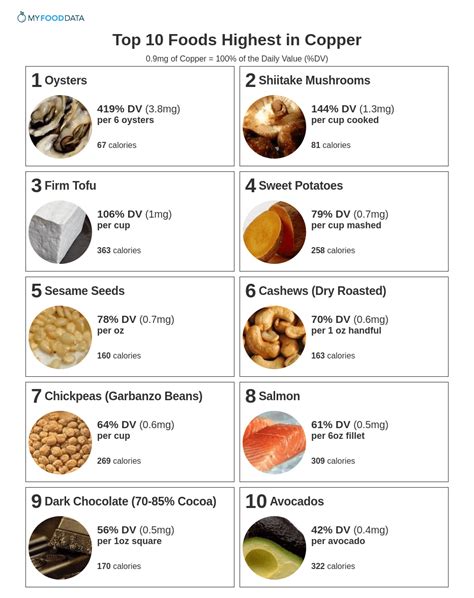 Copper Rich Food Examples