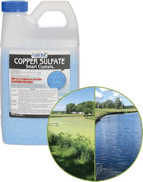 copper sulfate for algae control