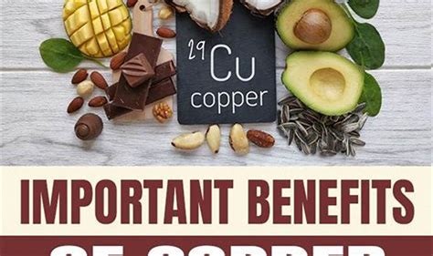 Pin on Copper Toxicity