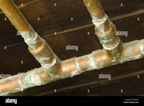 copper water lines