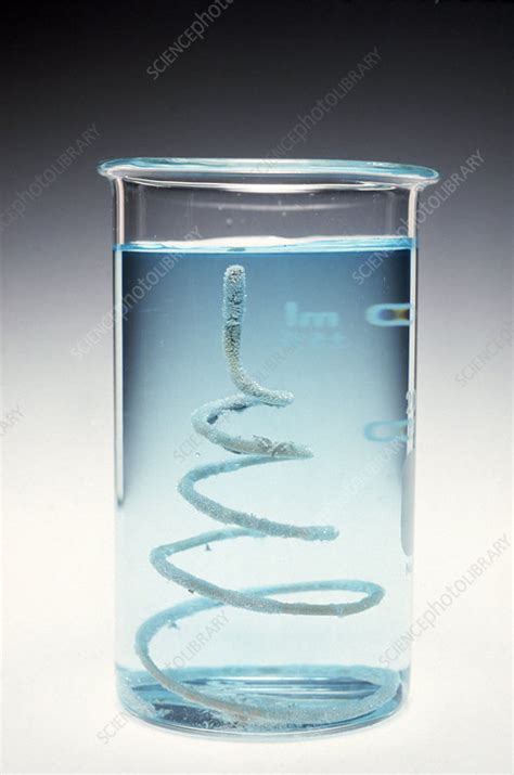 Copper Wire In Silver Nitrate Solution